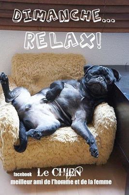 dimanche relax.jpg