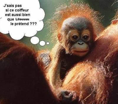 Sans titre-2.jpg