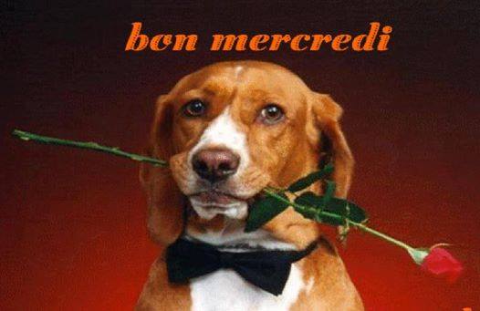 mercredi.jpg