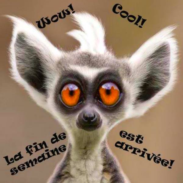 fin de semaine.jpg