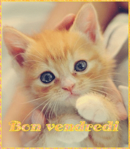 vendredi.gif