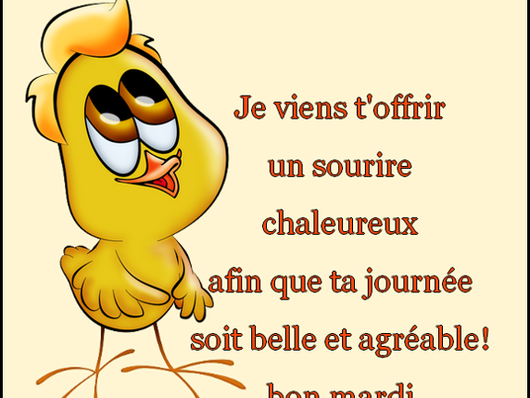 mardi.png