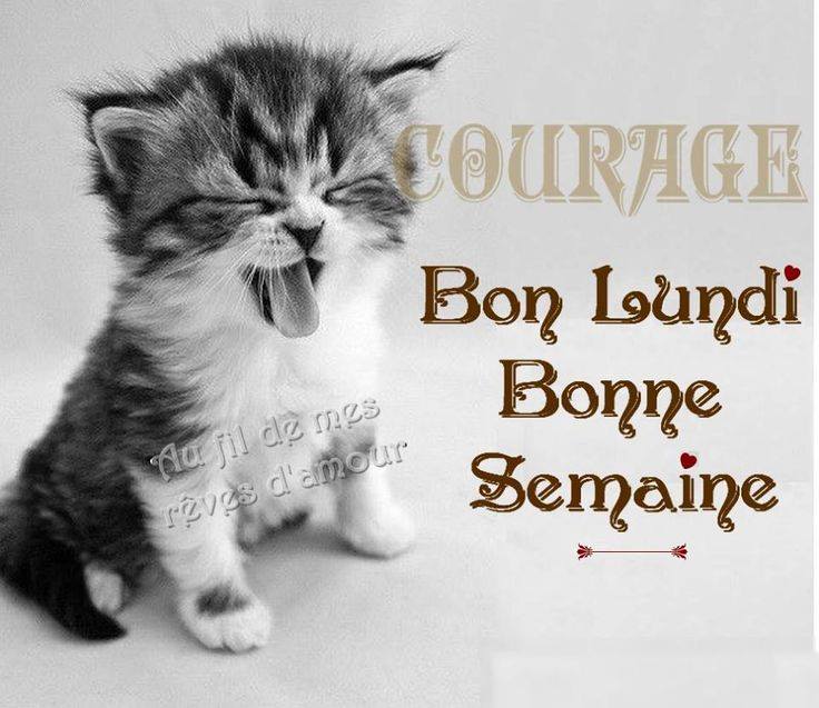 lundi.jpg
