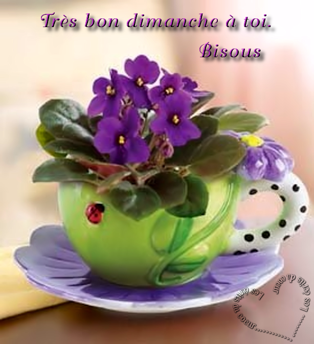 dimanche (2).png
