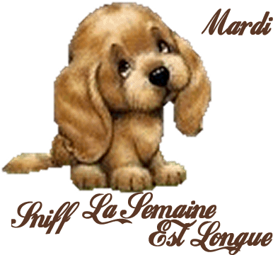 mardi gif.gif