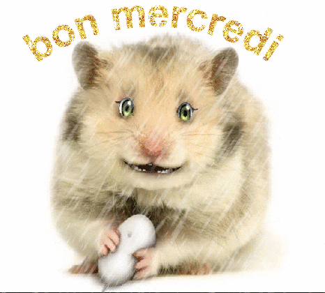 MERCREDI (2).gif