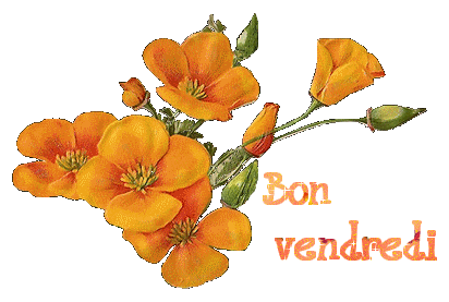 vendredi (3).gif