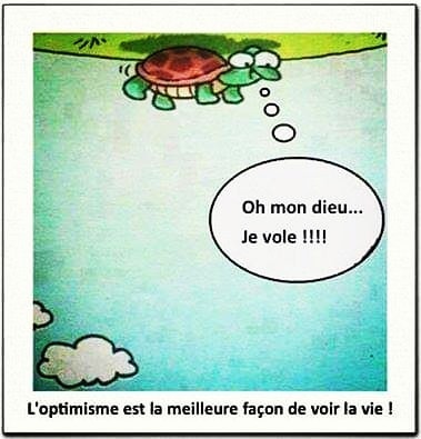 Tortue qui vole.jpg