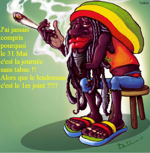 1 er joint.jpg