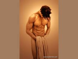 chippendal.jpg