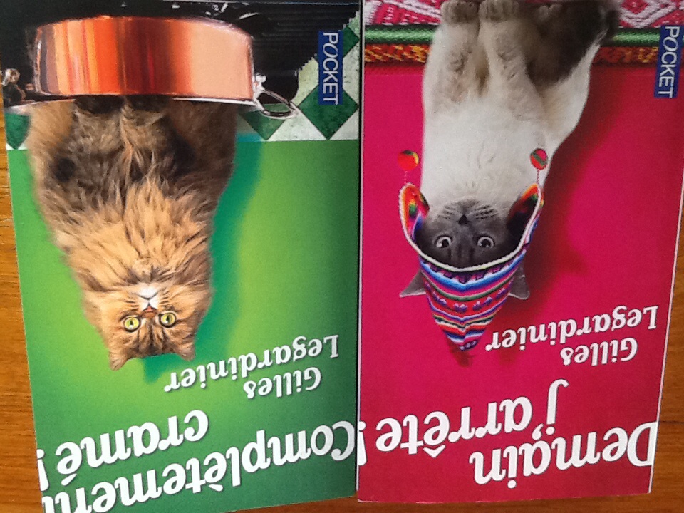 image.jpg