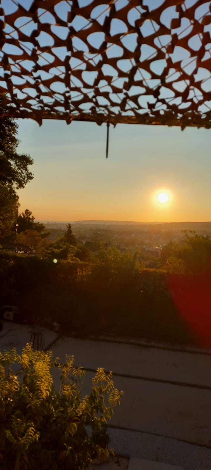 a453da77-10df-4ef6-94b6-83ae419d2224.jpeg