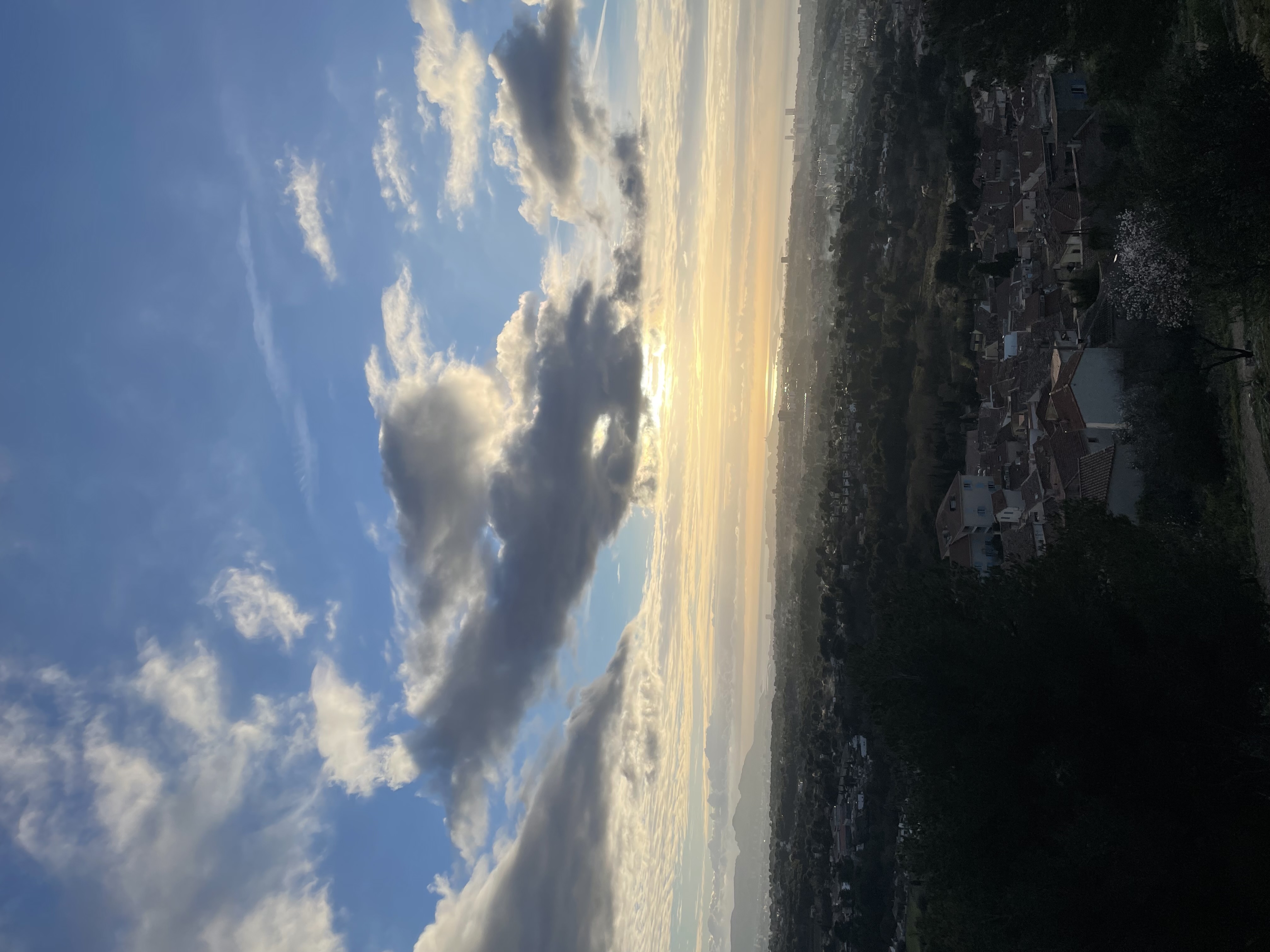 Petit coin de Provence